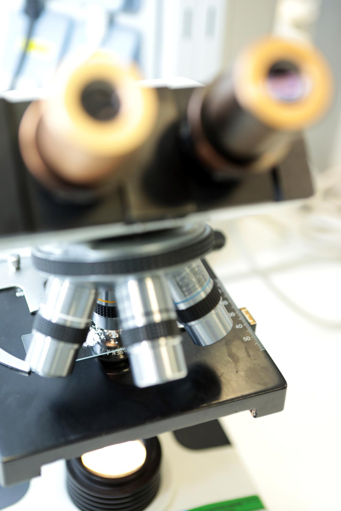 Life Sciences Translations